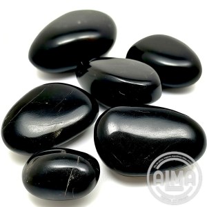 Shugit en grupo con logo